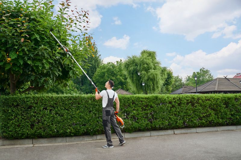 Landscape Pruning Service