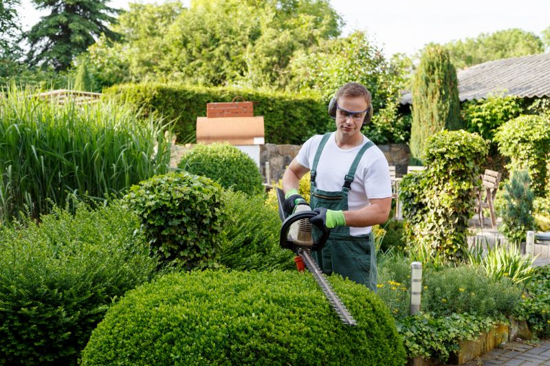 Landscape Trimming Service
