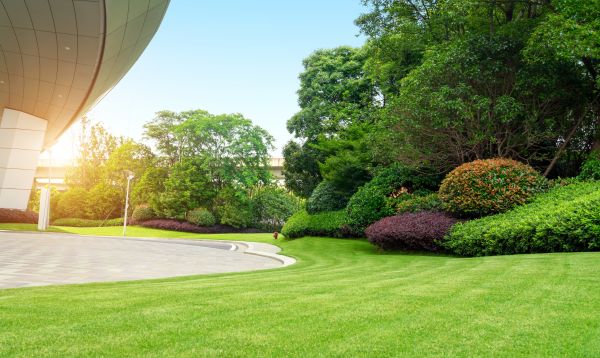 Cost of Commercial Shrub Trimming in Gig Harbor