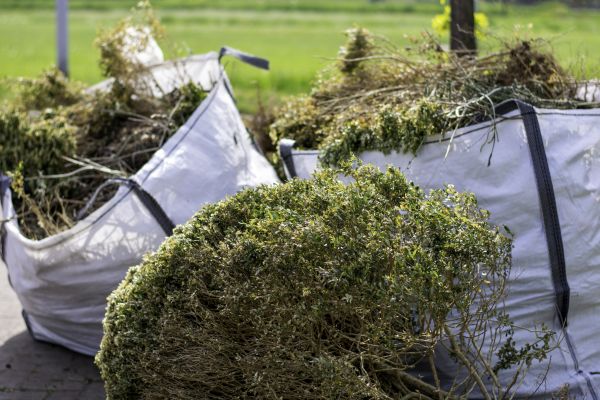 Cost of Shrubs Removal in Gig Harbor